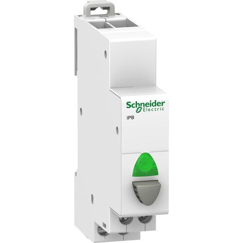 Schneider Electric Acti9 iPB 1NO Grey Button - Green Lamp, Schalter + Taster, Grün