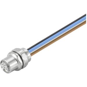 Weidmüller 2530800000 Sensor-/Aktorkontakt - Hochfrequenz, Hohe Strombelastung, Kompakt Weidmüller 2530800000 Sensor-/Aktorkontakt - Hochfrequenz, Hohe Strombelastung, Kompakt