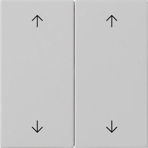 Gira Wippe 2f Pfeile System 55 Grau m 5387015, Schalter + Taster, Grau Gira Wippe 2f Pfeile System 55 Grau m 5387015, Schalter + Taster, Grau