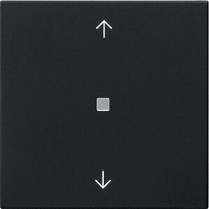 Gira Wippe 1f Pfeile Kontrollf. System 55 5388005, Schalter + Taster, Schwarz Gira Wippe 1f Pfeile Kontrollf. System 55 5388005, Schalter + Taster, Schwarz