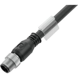 Weidmüller SAIL-M12G-8S30U - Sensor/Antrieb-Stecker Weidmüller SAIL-M12G-8S30U - Sensor/Antrieb-Stecker