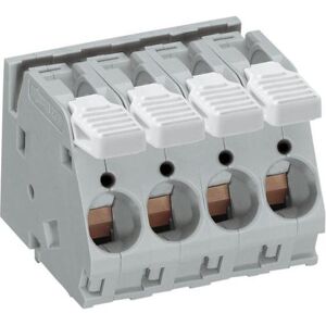 WAGO 2716-152/000-016 Klemmenblock - 2 Pole, Grün-Gelb - Elektrisch WAGO 2716-152/000-016 Klemmenblock - 2 Pole, Grün-Gelb - Elektrisch