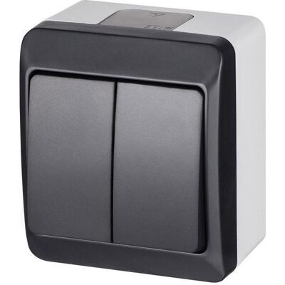 Elektro-Plast SWITCH 2 GANG IP44 0332-07, Schalter + Taster, Grau Elektro-Plast SWITCH 2 GANG IP44 0332-07, Schalter + Taster, Grau