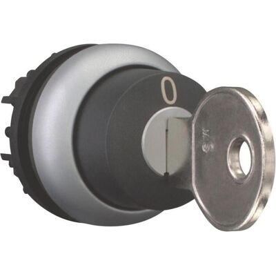 Eaton M22-WS-MS5 Schlüsseltaste - IP66, 2 Stellungen, Titanring Eaton M22-WS-MS5 Schlüsseltaste - IP66, 2 Stellungen, Titanring