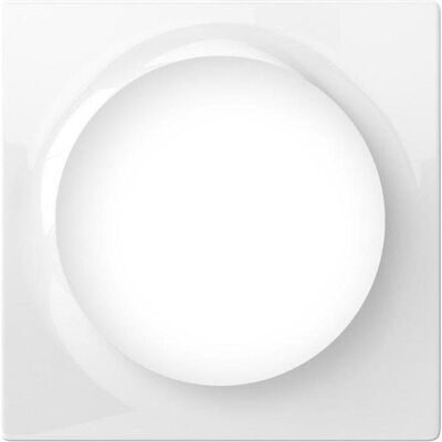 Fibaro Einfach-Abdeckplatte für Geräte der Walli-Serie, Automatisierung Fibaro Einfach-Abdeckplatte für Geräte der Walli-Serie, Automatisierung