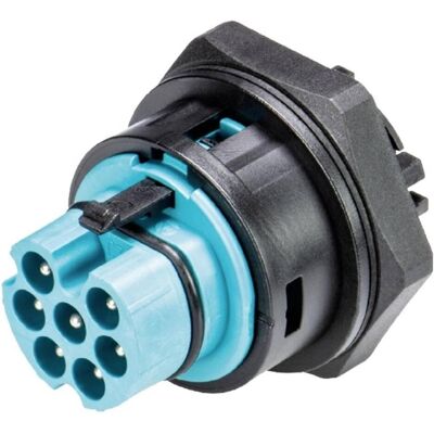 Wieland 9L.072.6353.6, Elektronikkabel + Stecker, Blau, Schwarz, Türkis Wieland 9L.072.6353.6, Elektronikkabel + Stecker, Blau, Schwarz, Türkis