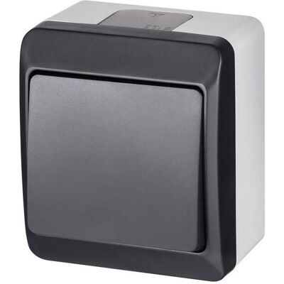 Elektro-Plast TWO-WAY SWITCH IP44 0331-07, Schalter + Taster, Grau Elektro-Plast TWO-WAY SWITCH IP44 0331-07, Schalter + Taster, Grau