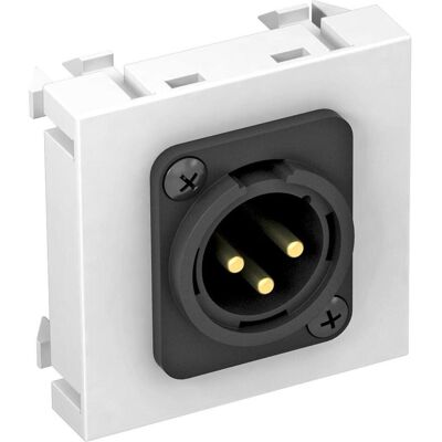 OBO - MTG-X3MSRW1 - XLR 3-polig - Multimedia carrier OBO - MTG-X3MSRW1 - XLR 3-polig - Multimedia carrier
