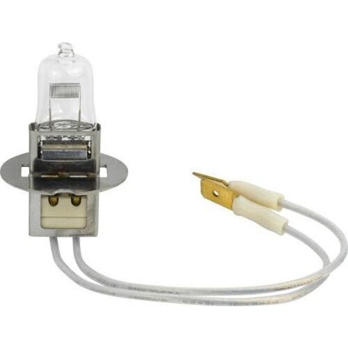 Osram 4008321345653 (100 W), Lichttechnik Leuchtmittel