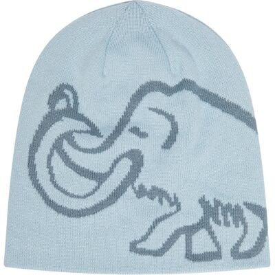 Mammut, Unisex, Mütze, Logo Beanie Reversible, Blau, (One Size) Mammut, Unisex, Mütze, Logo Beanie Reversible, Blau, (One Size)