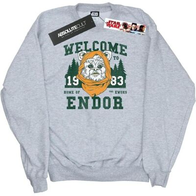 Star Wars, Herren, Pullover, Endor Camp Sweatshirt, Grau, (L) Star Wars, Herren, Pullover, Endor Camp Sweatshirt, Grau, (L)