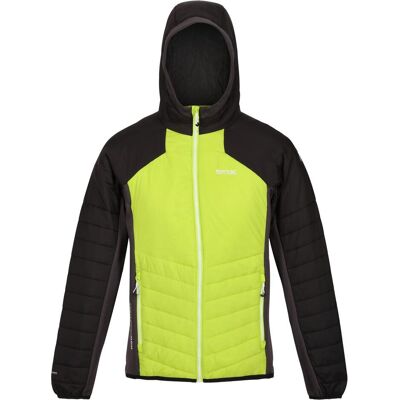 Regatta, Herren, Outdoorjacken, Trutton, Grün, L Regatta, Herren, Outdoorjacken, Trutton, Grün, L