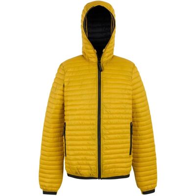 Regatta, Herren, Winterjacken, Rigain, Gold, (L) Regatta, Herren, Winterjacken, Rigain, Gold, (L)