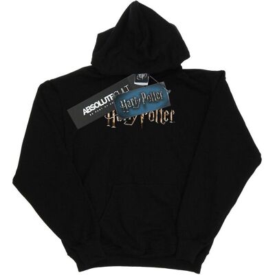 Harry Potter, Damen, Pullover, Full Colour Logo Kapuzenpullover, Schwarz, (M) Harry Potter, Damen, Pullover, Full Colour Logo Kapuzenpullover, Schwarz, (M)