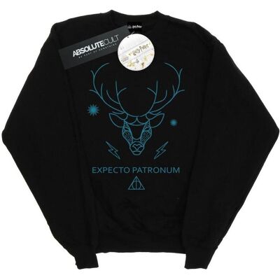 Harry Potter, Damen, Pullover, Expecto Patronum Sweatshirt, Schwarz, (M) Harry Potter, Damen, Pullover, Expecto Patronum Sweatshirt, Schwarz, (M)
