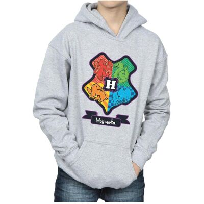 Harry Potter, Jungen, Pullover, Hogwarts Junior Crest Kapuzenpullover Jungen, Grau, (116) Harry Potter, Jungen, Pullover, Hogwarts Junior Crest Kapuzenpullover Jungen, Grau, (116)