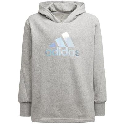 Adidas Mädchen, Pullover, G Hoodie Jr, Grau, Silber, (170) Adidas Mädchen, Pullover, G Hoodie Jr, Grau, Silber, (170)