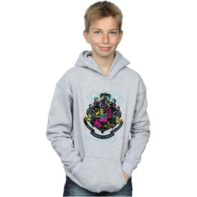 Harry Potter, Jungen, Pullover, Neon Hogwarts Crest Kapuzenpullover Jungen, Grau, (140, 146) Harry Potter, Jungen, Pullover, Neon Hogwarts Crest Kapuzenpullover Jungen, Grau, (140, 146)