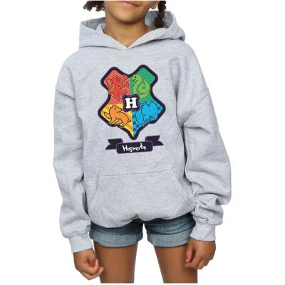 Harry Potter, Mädchen, Pullover, Hogwarts Junior Crest Kapuzenpullover Mädchen, Grau, (152, 158) Harry Potter, Mädchen, Pullover, Hogwarts Junior Crest Kapuzenpullover Mädchen, Grau, (152, 158)