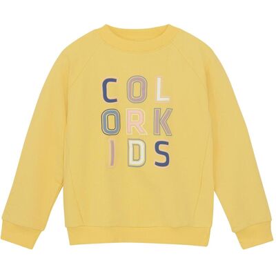 Color Kids, Unisex, Pullover, Logo Print, Gelb, (110) Color Kids, Unisex, Pullover, Logo Print, Gelb, (110)