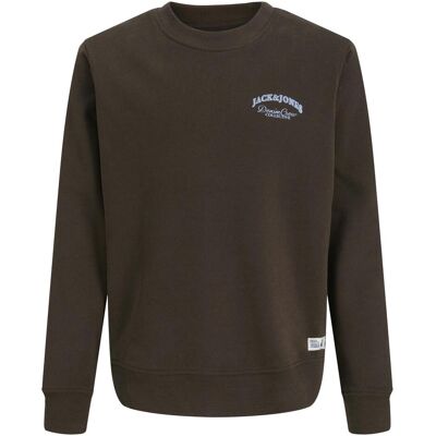 Jack & Jones, Jungen, Pullover, Junior Sweatshirt JJEBRANDES Pullover, Braun, (176) Jack & Jones, Jungen, Pullover, Junior Sweatshirt JJEBRANDES Pullover, Braun, (176)
