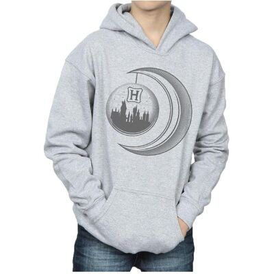 Harry Potter, Jungen, Pullover, Hogwarts Moon Kapuzenpullover Jungen, Grau, (140, 146) Harry Potter, Jungen, Pullover, Hogwarts Moon Kapuzenpullover Jungen, Grau, (140, 146)