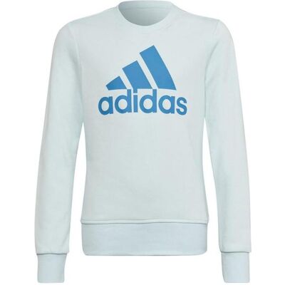 Adidas Jungen, Pullover, Sweatshirt mit grossem Logo für Kinder, Mehrfarbig, (170) Adidas Jungen, Pullover, Sweatshirt mit grossem Logo für Kinder, Mehrfarbig, (170)