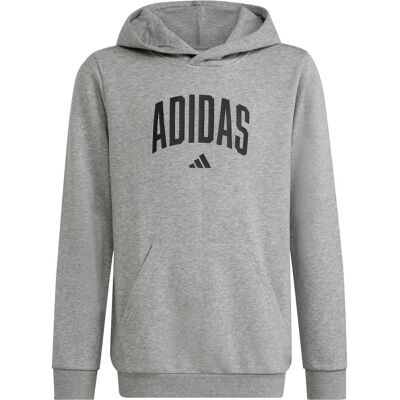 Adidas Jungen, Pullover, Collegiate Graphic, Grau, (176) Adidas Jungen, Pullover, Collegiate Graphic, Grau, (176)