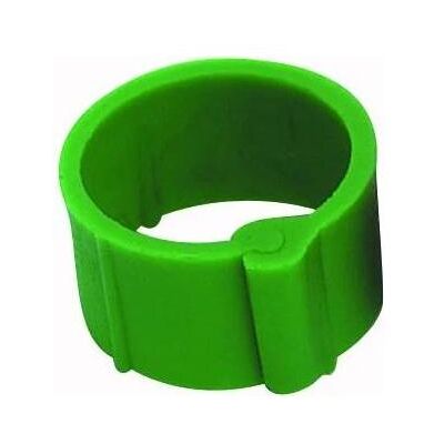 Chick'A, Ring, Clip-Ring, (20) Chick'A, Ring, Clip-Ring, (20)