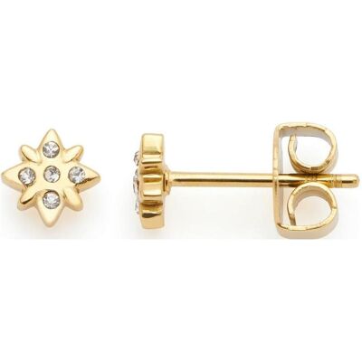 Leonardo, Ohrringe, gold Campagnola CIA, (Edelstahl, Glassteine) Leonardo, Ohrringe, gold Campagnola CIA, (Edelstahl, Glassteine)