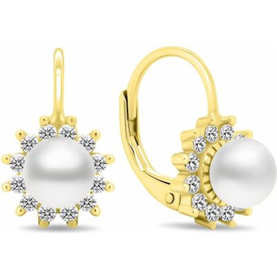 Brilio, Ohrringe, Silver - Dazzling gold plated earrings with clear zircons EA613Y, (Silber) Brilio, Ohrringe, Silver - Dazzling gold plated earrings with clear zircons EA613Y, (Silber)