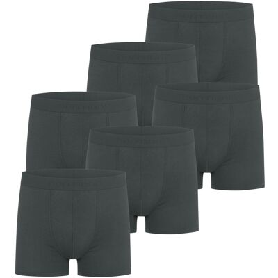 Normani, Herren, Unterhosen, 6 Herren Boxershorts aus Bambus-Viskose Cubao, Grau, (6er Pack, 48, S) Normani, Herren, Unterhosen, 6 Herren Boxershorts aus Bambus-Viskose Cubao, Grau, (6er Pack, 48, S)