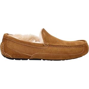 Ugg, Herren, Hausschuhe, Ascot Hausschuhe, Braun, (41) Ugg, Herren, Hausschuhe, Ascot Hausschuhe, Braun, (41)