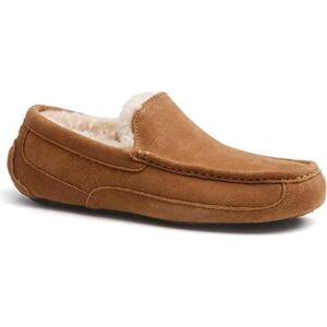 Ugg, Herren, Hausschuhe, Ascot Hausschuhe, Braun, (42) Ugg, Herren, Hausschuhe, Ascot Hausschuhe, Braun, (42)