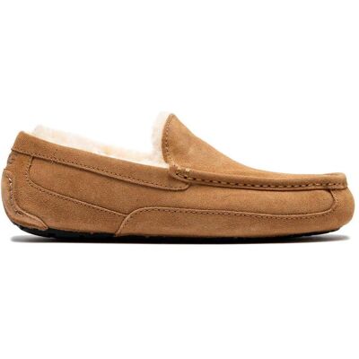 Ugg, Herren, Hausschuhe, Ascot, Braun, (43) Ugg, Herren, Hausschuhe, Ascot, Braun, (43)
