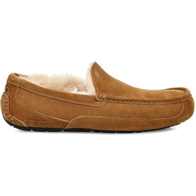 Ugg, Herren, Hausschuhe, Ascot Hausschuhe, Braun, (41) Ugg, Herren, Hausschuhe, Ascot Hausschuhe, Braun, (41)