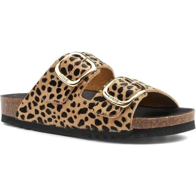 Scholl, Damen, Hausschuhe, Noelle, Mehrfarbig, (37) Scholl, Damen, Hausschuhe, Noelle, Mehrfarbig, (37)