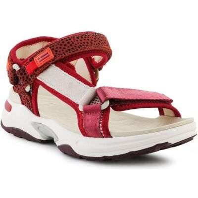 D.Franklin, Damen, Sandalen, Damen Sneakers Sandalen Streifen Sandalen, Rot, (36) D.Franklin, Damen, Sandalen, Damen Sneakers Sandalen Streifen Sandalen, Rot, (36)