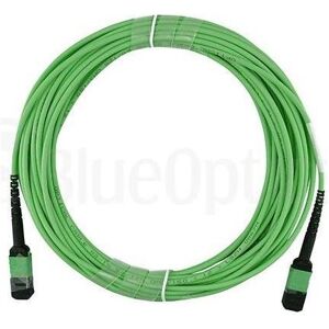 BlueOptics LWL MPO/APC Trunkkabel OM5 16 Kerne 1 Meter Typ A, Transceiver, Grün BlueOptics LWL MPO/APC Trunkkabel OM5 16 Kerne 1 Meter Typ A, Transceiver, Grün