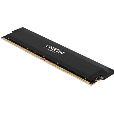 Crucial PRO OC 16G DDR5 6400 BLACK TRAY (1 x 16GB, 6400 MHz, DDR5-RAM, DIMM), RAM, Schwarz Crucial PRO OC 16G DDR5 6400 BLACK TRAY (1 x 16GB, 6400 MHz, DDR5-RAM, DIMM), RAM, Schwarz