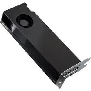 Dell NVIDIA RTX 2000 Ada Generation 16GB GDDR6 half height PCIe 4.0x8 4 mDP Graphics Card (16 GB), Grafikkarte Dell NVIDIA RTX 2000 Ada Generation 16GB GDDR6 half height PCIe 4.0x8 4 mDP Graphics Card (16 GB), Grafikkarte