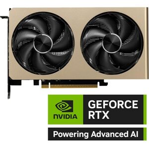 MSI GEFORCE RTX 5060 8G INSPIRE 2X OC (8 GB), Grafikkarte MSI GEFORCE RTX 5060 8G INSPIRE 2X OC (8 GB), Grafikkarte