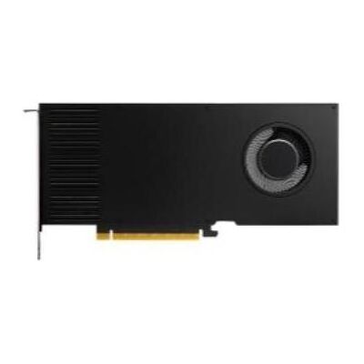 Dell NVIDIA RTX 2000 ADA GENERATION (16 GB, GDDR6), Grafikkarte, Schwarz Dell NVIDIA RTX 2000 ADA GENERATION (16 GB, GDDR6), Grafikkarte, Schwarz
