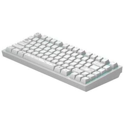 Pro-Ject Dark Project ALU81A Terra Nova White, G3MS Moonstone Switch, US (US, Kabelgebunden, Kabellos), Tastatur, Weiss Pro-Ject Dark Project ALU81A Terra Nova White, G3MS Moonstone Switch, US (US, Kabelgebunden, Kabellos), Tastatur, Weiss