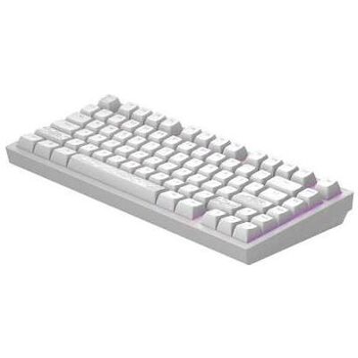 Pro-Ject Dark Project Computertastatur Terra Nostra R2, G3MS Moonstone-Schalter, US-Weiss (US, Kabelgebunden), Tastatur, Weiss Pro-Ject Dark Project Computertastatur Terra Nostra R2, G3MS Moonstone-Schalter, US-Weiss (US, Kabelgebunden), Tastatur, Weiss