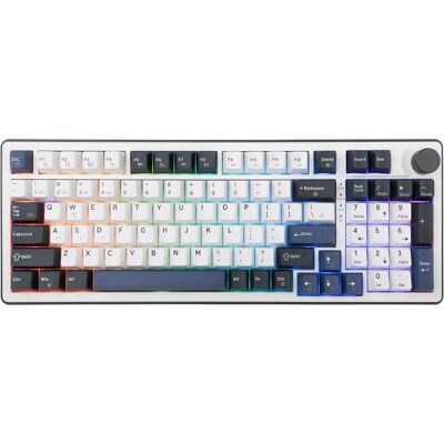 White Shark GK-007251 Excalibur White US (US, Kabelgebunden, Kabellos), Tastatur, Weiss White Shark GK-007251 Excalibur White US (US, Kabelgebunden, Kabellos), Tastatur, Weiss