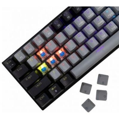 White Shark Computer keyboard GK-002111V2 Wakizashi Black-Grey US Red Switches (US, Kabelgebunden), Tastatur, Schwarz, Grau White Shark Computer keyboard GK-002111V2 Wakizashi Black-Grey US Red Switches (US, Kabelgebunden), Tastatur, Schwarz, Grau