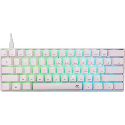 White Shark GK-004221 Shinobi-2 Blue switch, White US (US, Kabelgebunden), Tastatur, Weiss White Shark GK-004221 Shinobi-2 Blue switch, White US (US, Kabelgebunden), Tastatur, Weiss