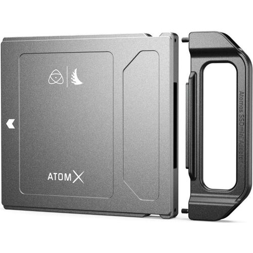 Angelbird AtomX SSDmini (1000 GB, SATA), SSD