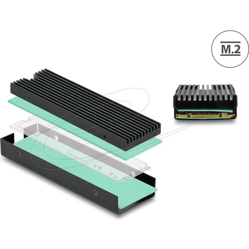 DeLock Kühlkörper, SSD + Festplatte Zubehör